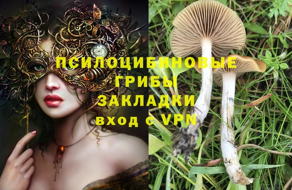 PSILOCYBIN Корсаков