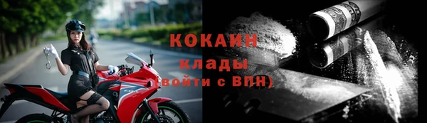индика Кулебаки