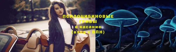 PSILOCYBIN Корсаков