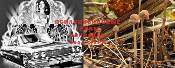 соль ск Коряжма