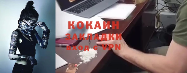 PSILOCYBIN Корсаков