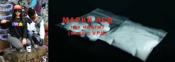 индика Кулебаки