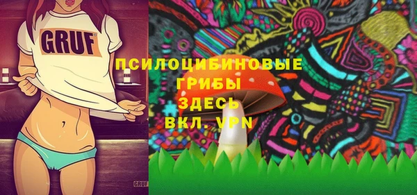 соль ск Коряжма