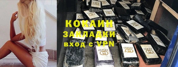 PSILOCYBIN Корсаков