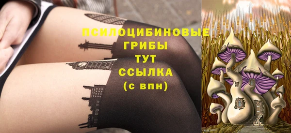 индика Кулебаки