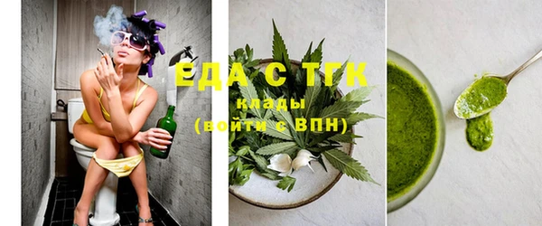индика Кулебаки