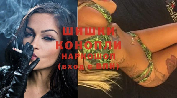 индика Кулебаки