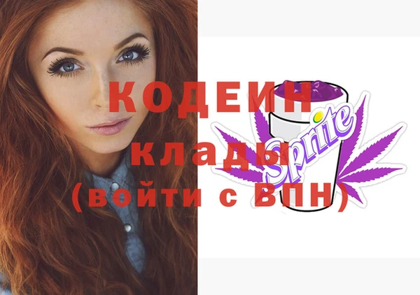 соль ск Коряжма