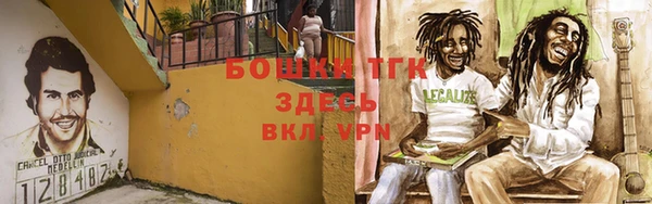 PSILOCYBIN Корсаков