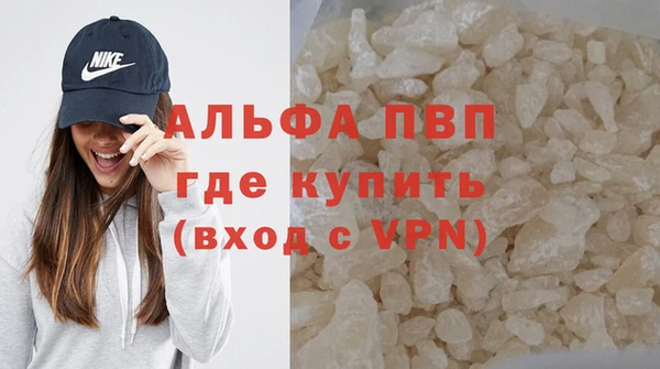 PSILOCYBIN Корсаков