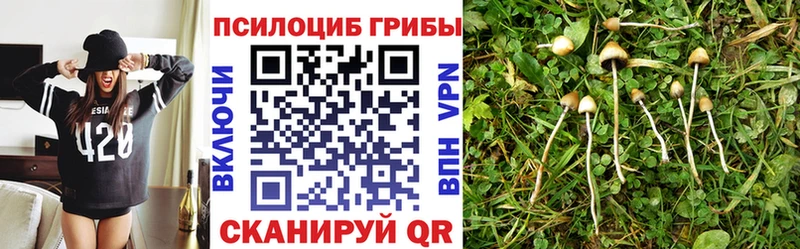 Псилоцибиновые грибы MAGIC MUSHROOMS  купить   гидра   Красноуральск 
